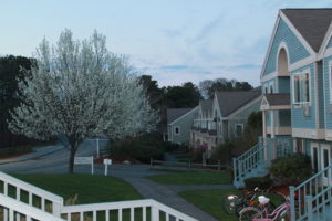 Ms Rexti in Cape Cod - Massachusetts